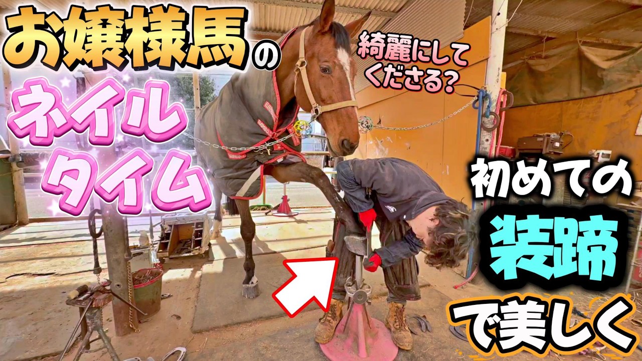 「私のネイル(蹄）キレイにしてくださるかしら？」装蹄師さんをガン見するお嬢様馬ゼレナ様のお眼差しがヤバい…笑。クラブに来て初めてのネイル（装蹄）を行いました。【ツルマルボーイ様のシモベ】