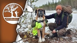 Early Winter Overnight Camping with my Dog in the Wilderness by The MCQBushcraft Archive  1,485,391 views 4 years ago 53 minutes