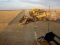 Harvest Glenvar 2007 - Wheat Australia big lexion