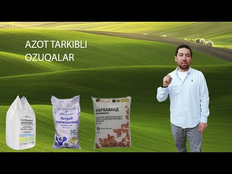 Video: O'simliklar uchun azot talablarini tushunish - bog'dorchilikni bilish