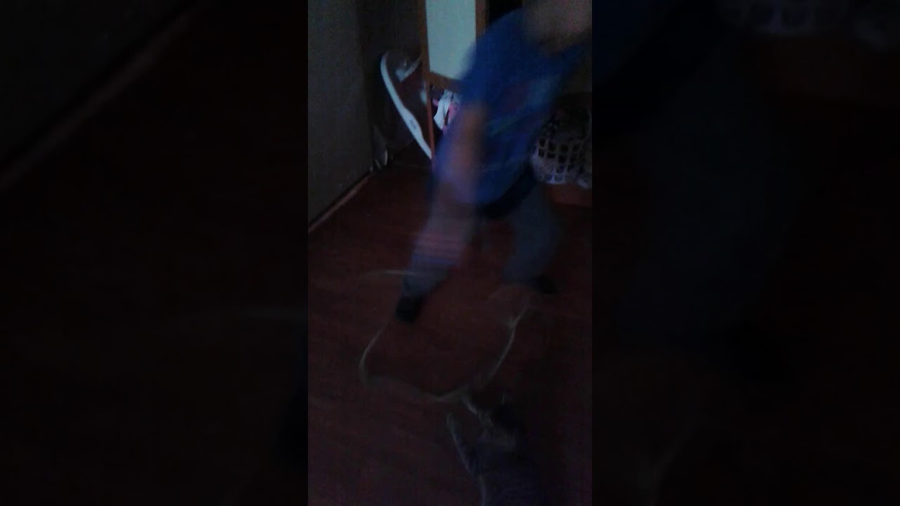 Kedi YouTube