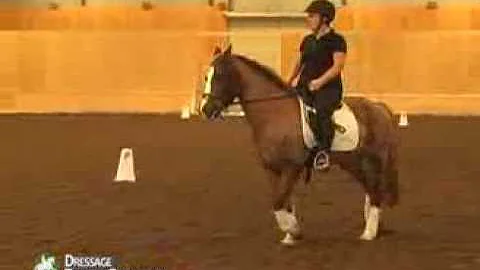 Dressage training with Christoph Hess, German Judg...