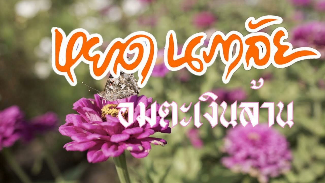 YouTube에서 อมตะเงินล้าน หยาดนภาลัย 4เพลงดัง 보기