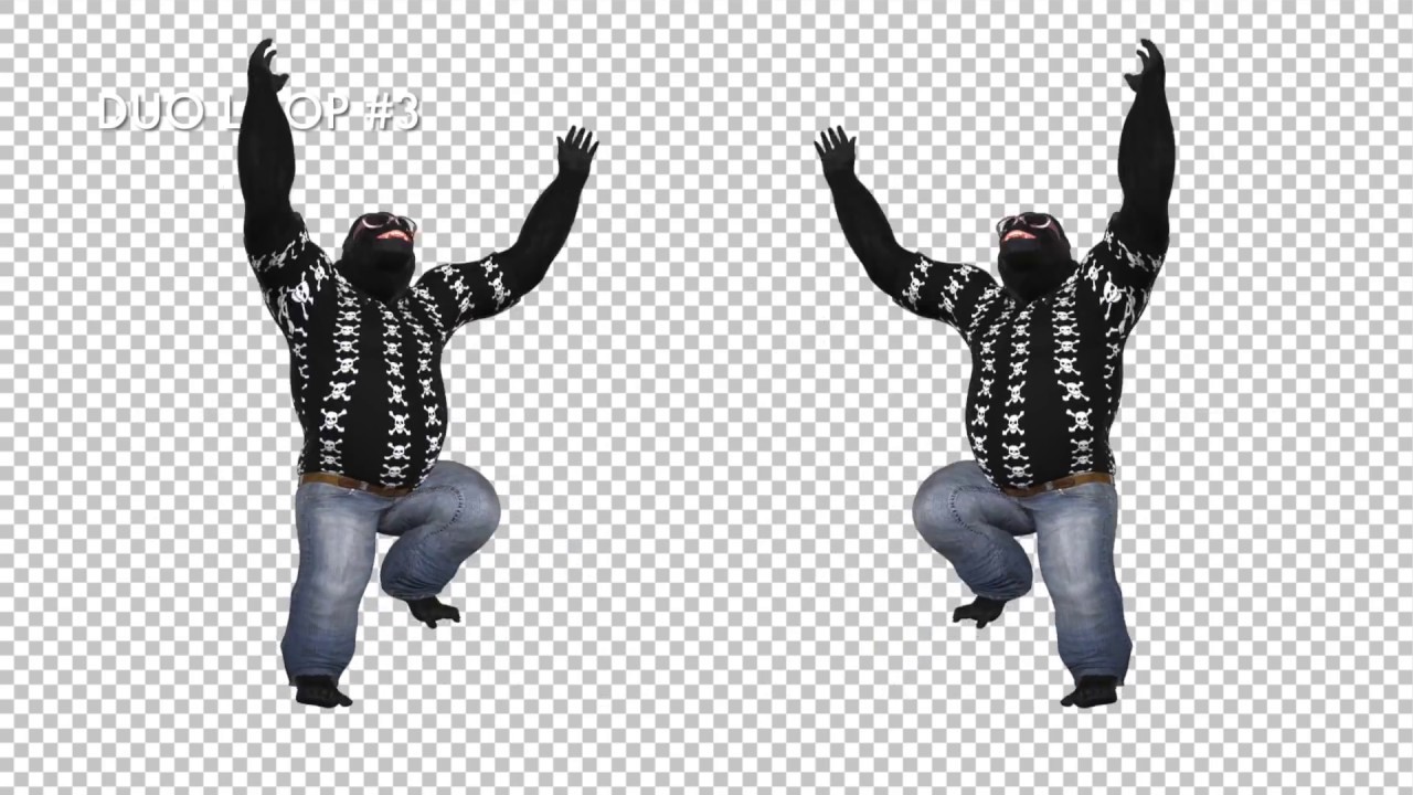 Dancing Gorillas - 5 VJ Loops - Solo & Duo - YouTube