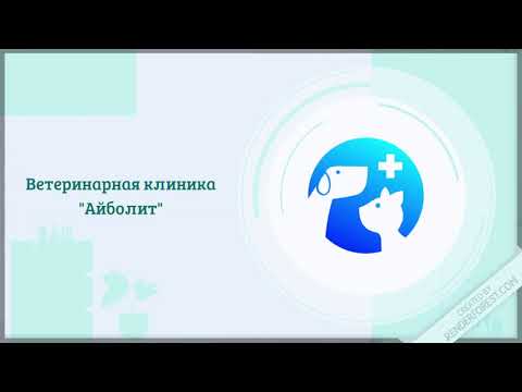 Вет.клиника Айболит Барановичи Intro