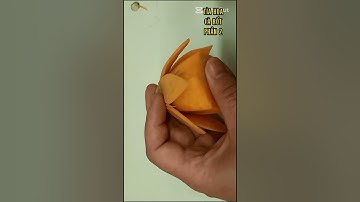 cách tỉa hoa từ củ cà rốt p2 #shorts