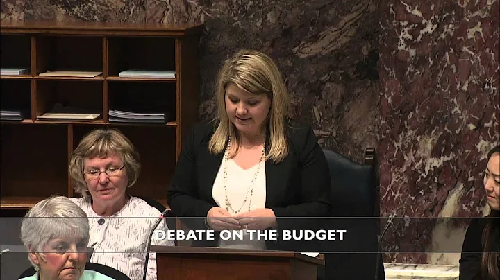 Jodie Wickens gives stirring response to Budget 20...