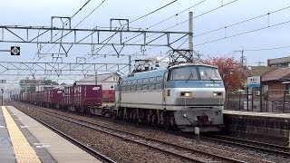 JR貨物 EF66-119 貨物列車 (5081レ ロクロクが代走) JR東海道本線 能登川駅