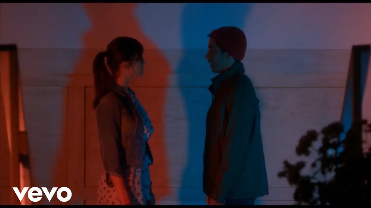 Shawn Mendes In My Blood Music Video YouTube