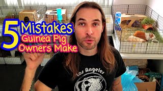 5 MISTAKES Guinea Pig Owners Make!