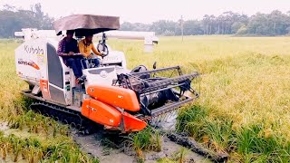 ধান কাটা | Dhan Kata Machine Video | Rice Cutting | Paddy Rice Cutter