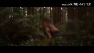 Starships [full mv]
