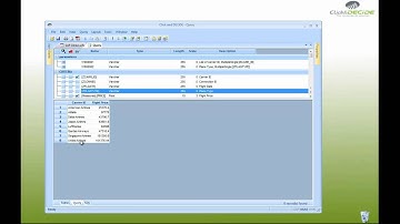 Click&DECiDE Build an Ad-hoc query in SAP