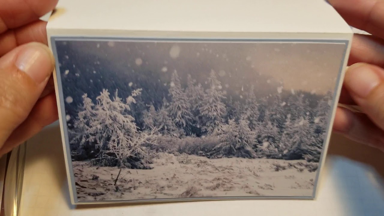 Feels like Frost DSP