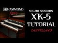 TUTORIAL HAMMOND XK-5 Hammond Artist /Endorser Mauri Sanchis Hammond Spain