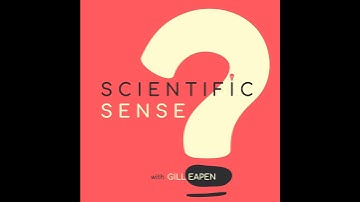 Prof. David Uttal, Professor of Education and of Psychology at Northwestern University