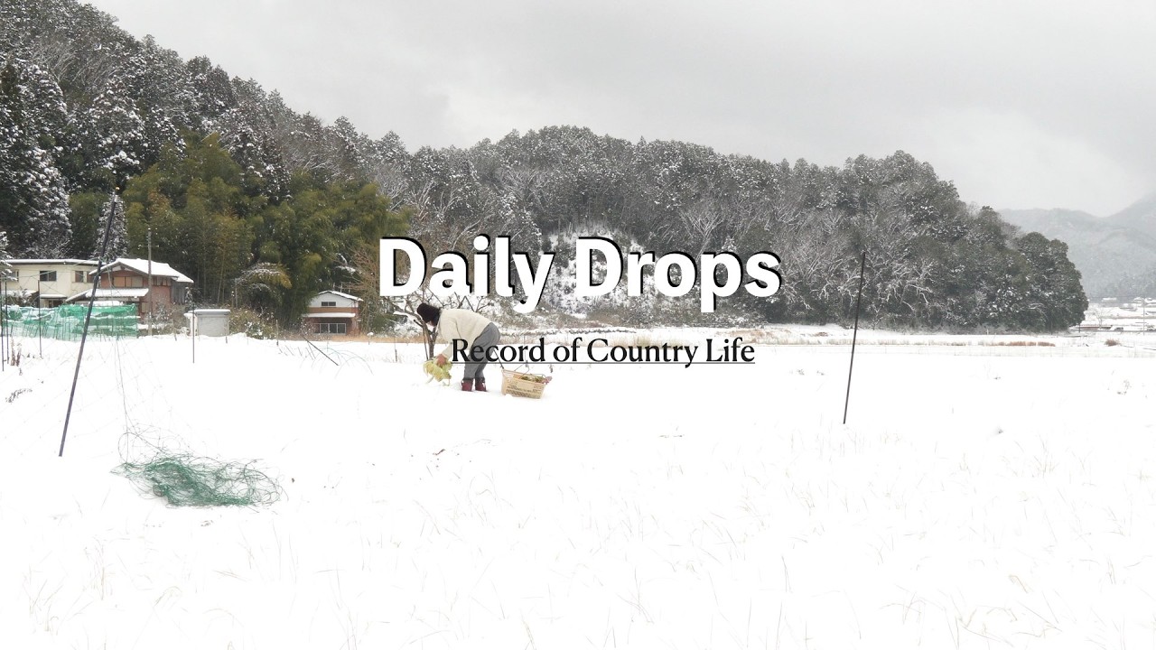 Видеоблог о жизни в условиях самодостаточности | Традиционная японская кухня | #94