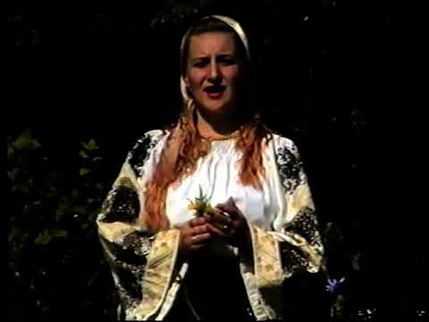 Codrule cu frunza lata