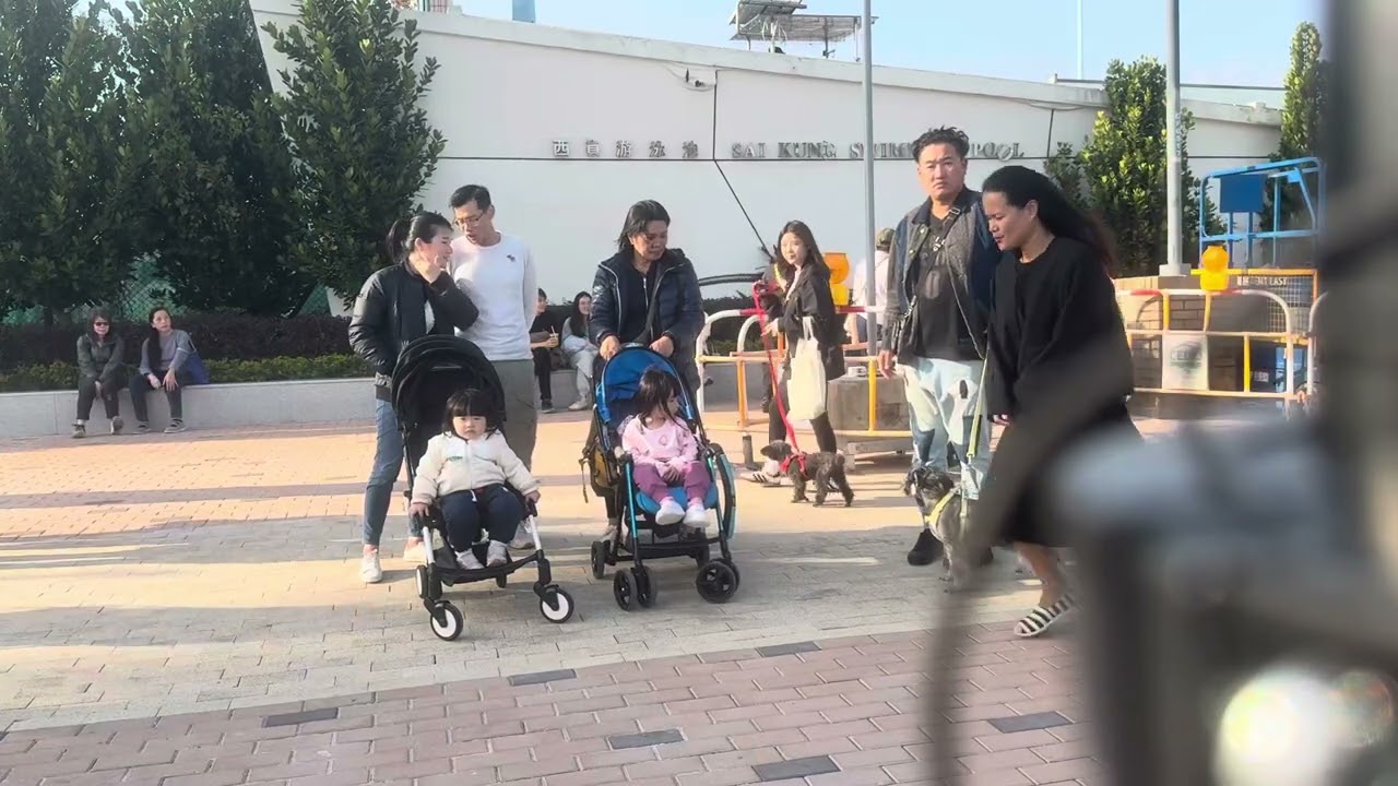 Busking What’s Up by 