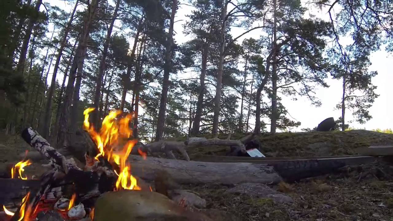 The Sailing Bassman - Episode 11 - Der erste Badegast an Bord