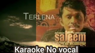 TERLENA ~ Saleem (Karaoke No Vocal/ Original sound)