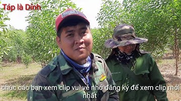 Táp là Dính # mùng 6 Tết giao lưu cùng anh em Hóc Môn 👬👬 câu cá lóc rừng mã đà Trị An , đập Bà Hào