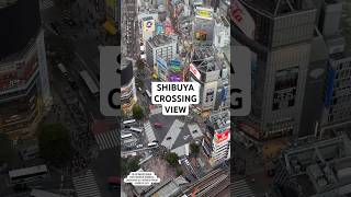 The Famous Shibuya Crossing in Tokyo as Viewed from Shibuya Sky #shibuya #tokyo #japan  #shibuyasky