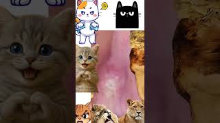 Download Lagu Wait for the pop 🤢 MP3