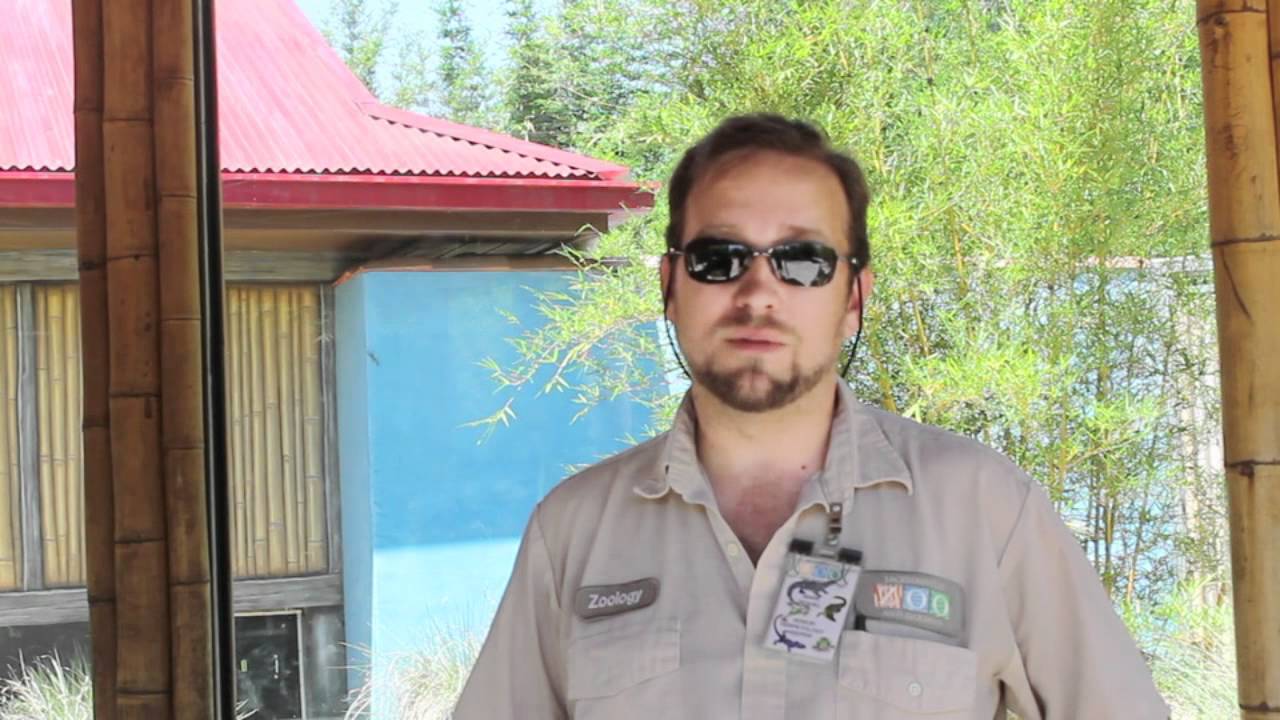 Behind-the-Zoo: Herpetology Part 1