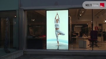 multi frame back load