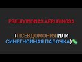 ПЛЕСЕНЬ НА НОГТЯХ 😲 Псевдомония или синегнойная палочка🦠 Почему появилась и что делать❓