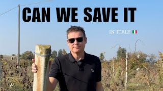 Information Walk through our abandoned vineyard I This is our 200 year old farmhouse in Italy🇮🇹  Update