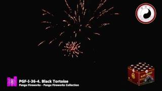 Black Tortoise - Pangu Fireworks - Pangu Fireworks Collection - vuurwerkbieb.nl