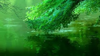 Beautiful Anime - Nature Amv