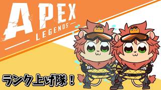 【Apex Legends】ソロランクアゲアゲ【獣人Vtuber獅子座みかん】