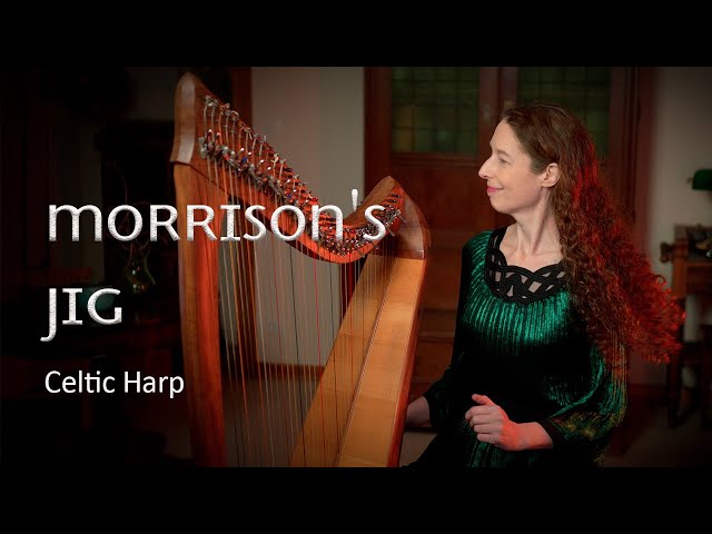 洋楽 Celtic Harp Deluxe 22 String Harp with Levers