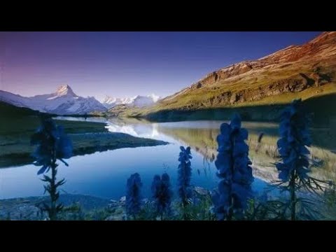 محاولة عزف اغنية الفنان راشد الماجد لا تقولوا مقدر اجيبه