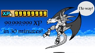 [For Fun] Battle Cats How to get 100 Millions XP within 30 minutes?