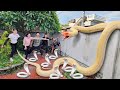 Experts help girl track down giant snake behind abandoned house.