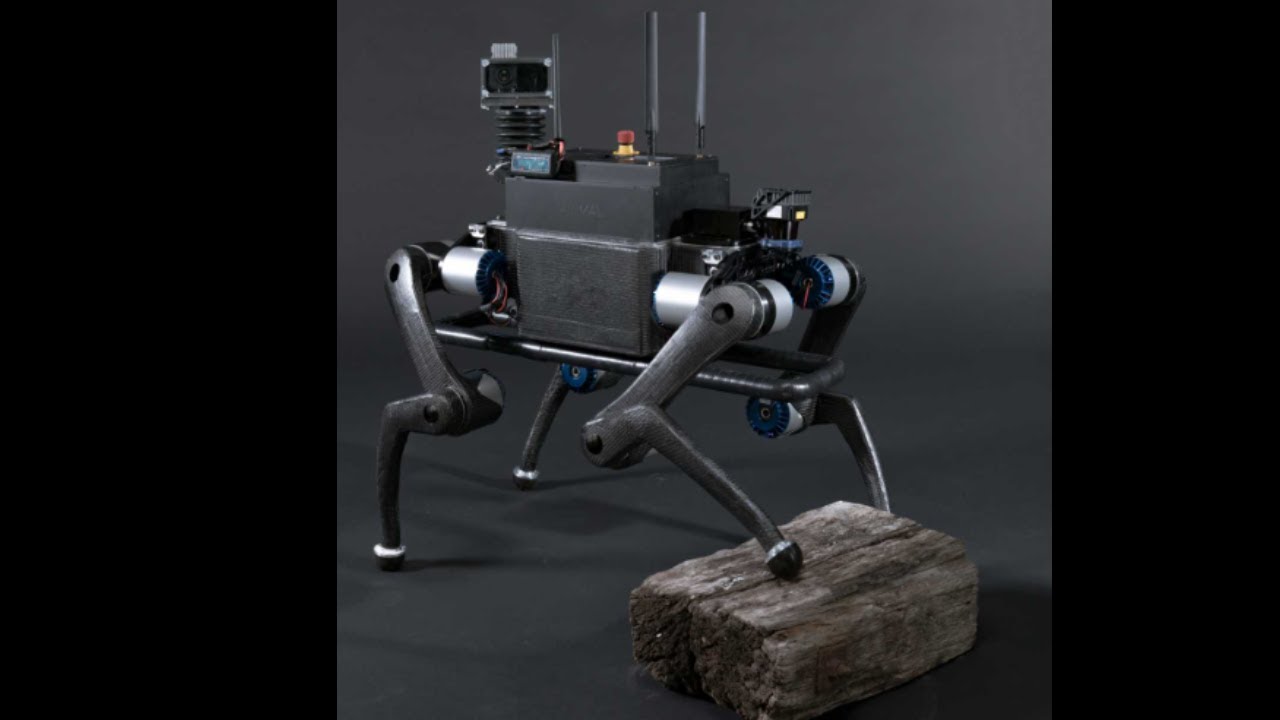 Amazing Robots You Must See