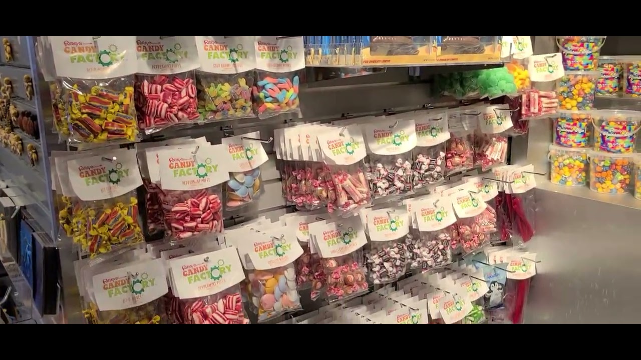 Ripley's Aquarium, gift 🎁 shop, Toronto Canada 🇨🇦