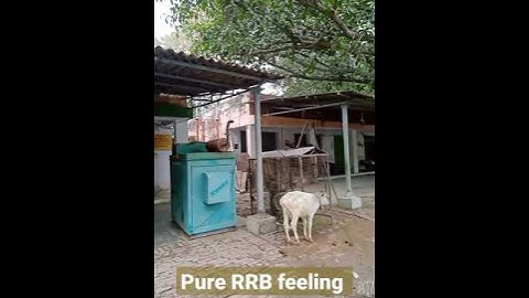 How is the real RRB 🌾🌱🐄💸Posting | Regional rural bank | Aryavart Bank UP | Ibps rrb po /oa clerk sbi