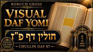 Daf Yomi Chullin Daf 87