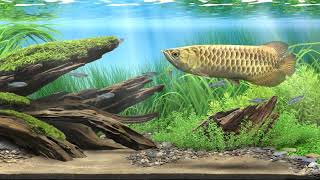 Dream Aquarium 2 Golden Arowana