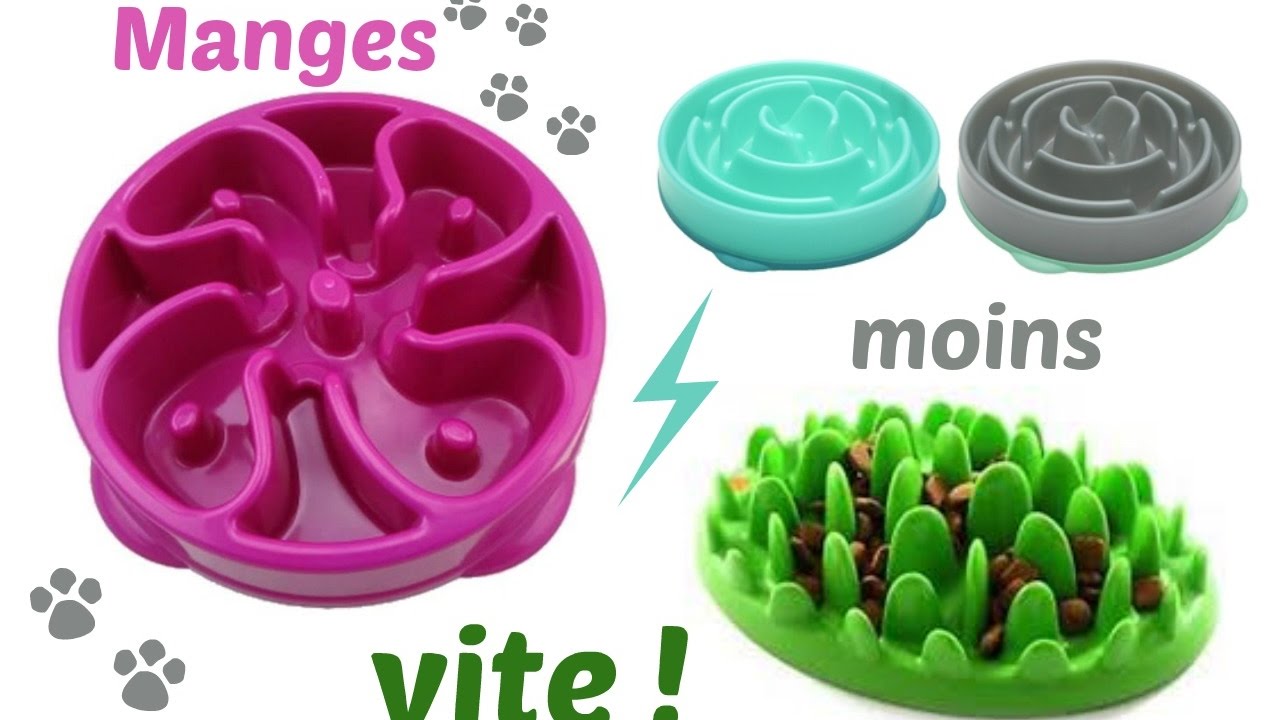 Produit N 1 Les Gamelles Anti Glouton Youtube