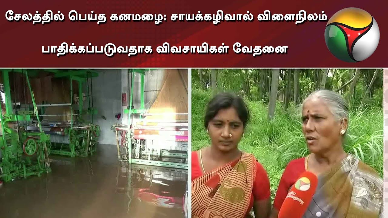 live tamil news 7 tv channels சேலத்தில் பெய்த கனமழை: சாயக்கழிவால் விளைநிலம் பாதிக்கப்படுவதாக விவசாயிகள் வேதனை | Salem