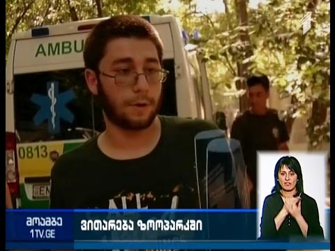 ზოოპარკში მოხალისე დაშავდა