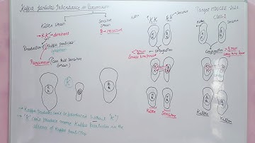 Kappa particle inheritance in paramecium #csirnetjrf #mducee2023 #mducee maternal inheritance Lec-19