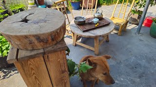 Moonlight white tea with Chen Pi gongfu tea session!
