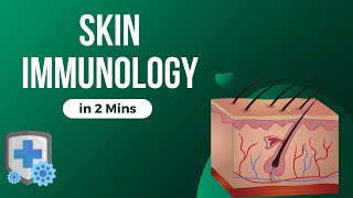 Skin Immunology - In 2 mins!